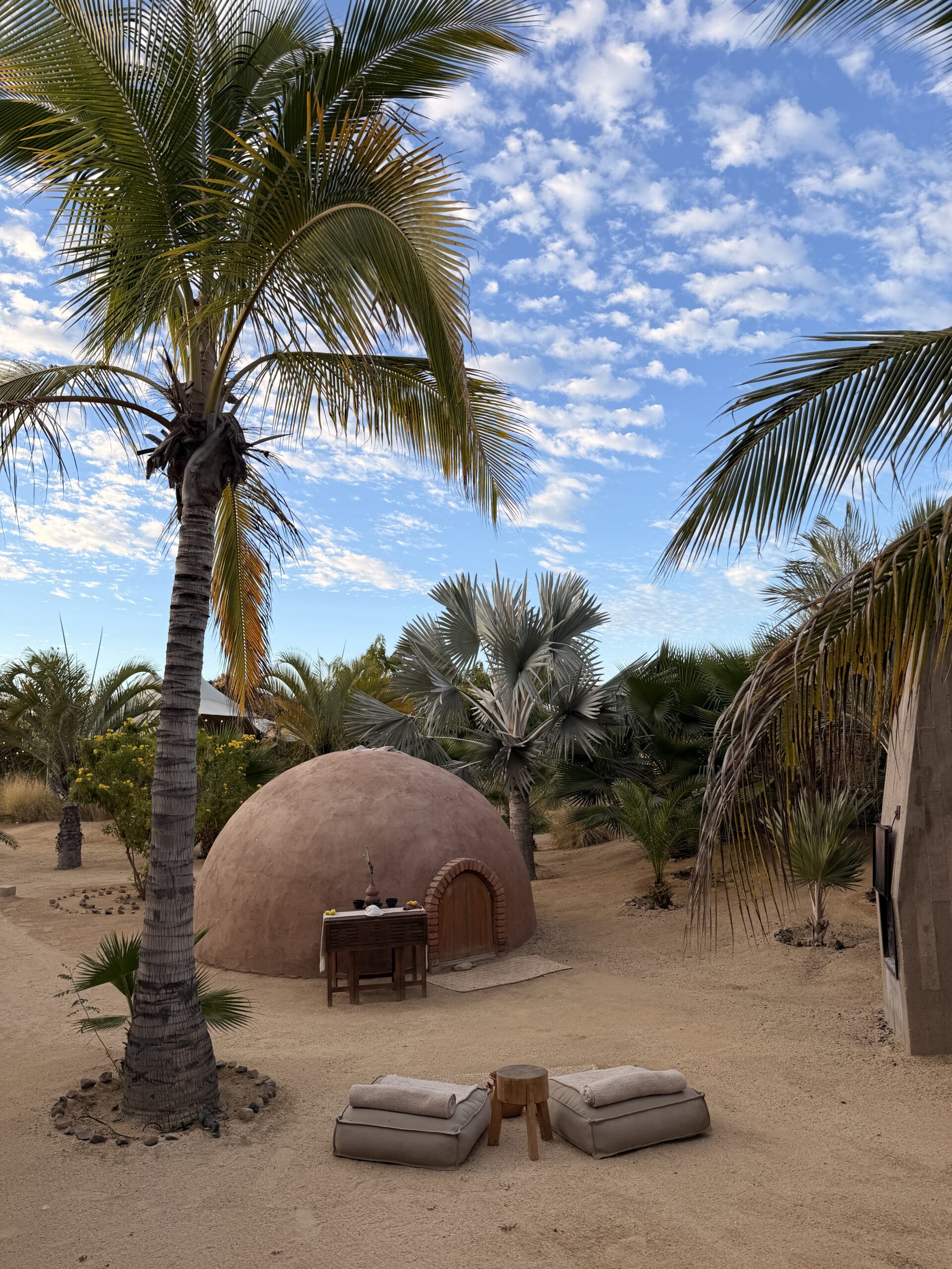 Todos Santos desert sanctuary