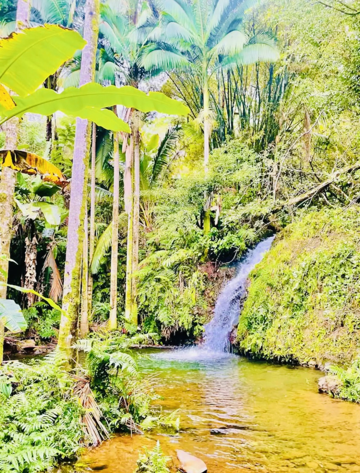Swimming lagoon